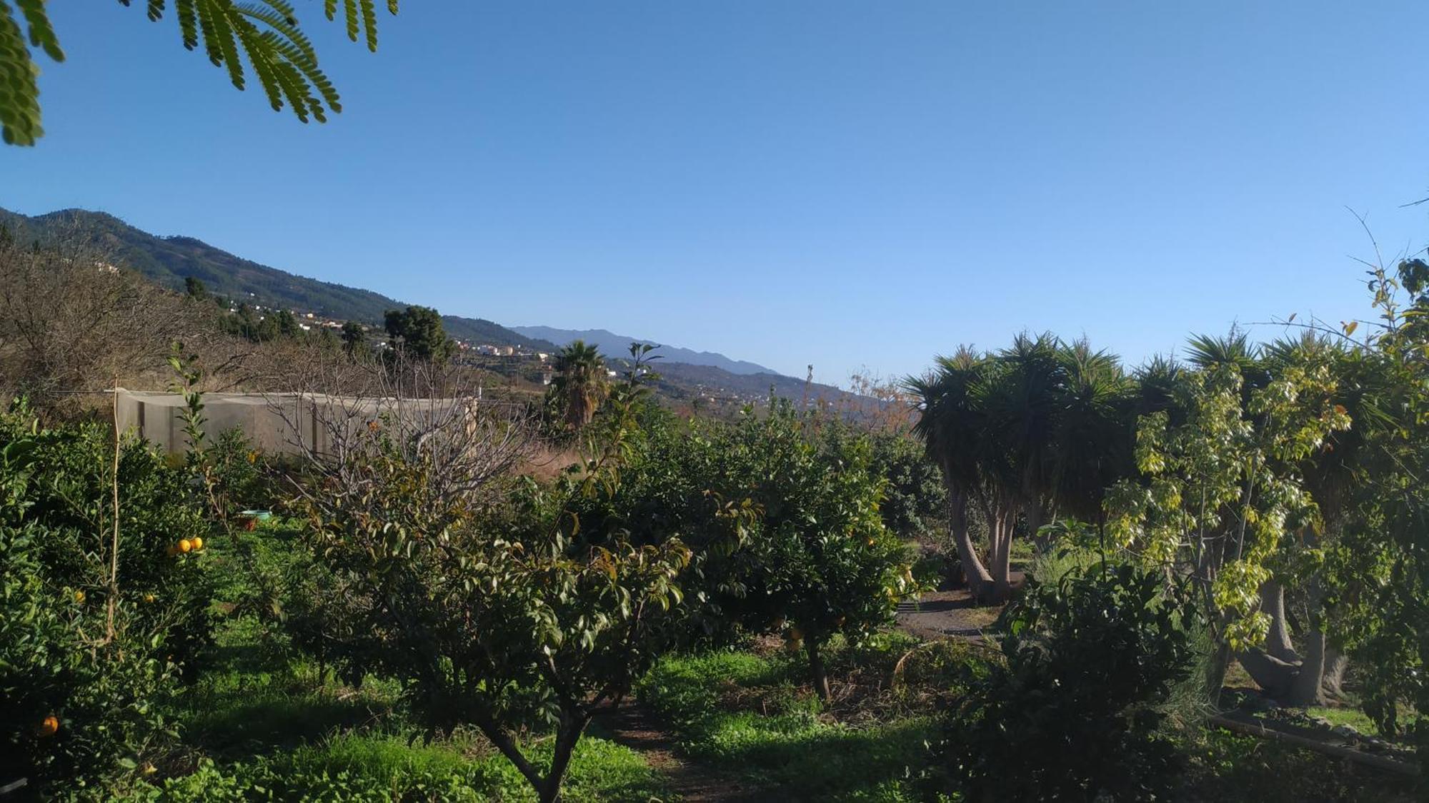 Finca Panorama Tijarafe Kültér fotó