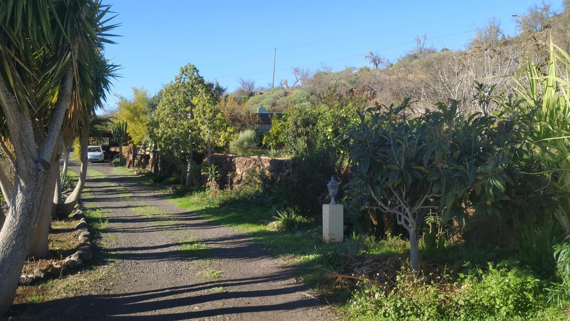 Finca Panorama Tijarafe Kültér fotó