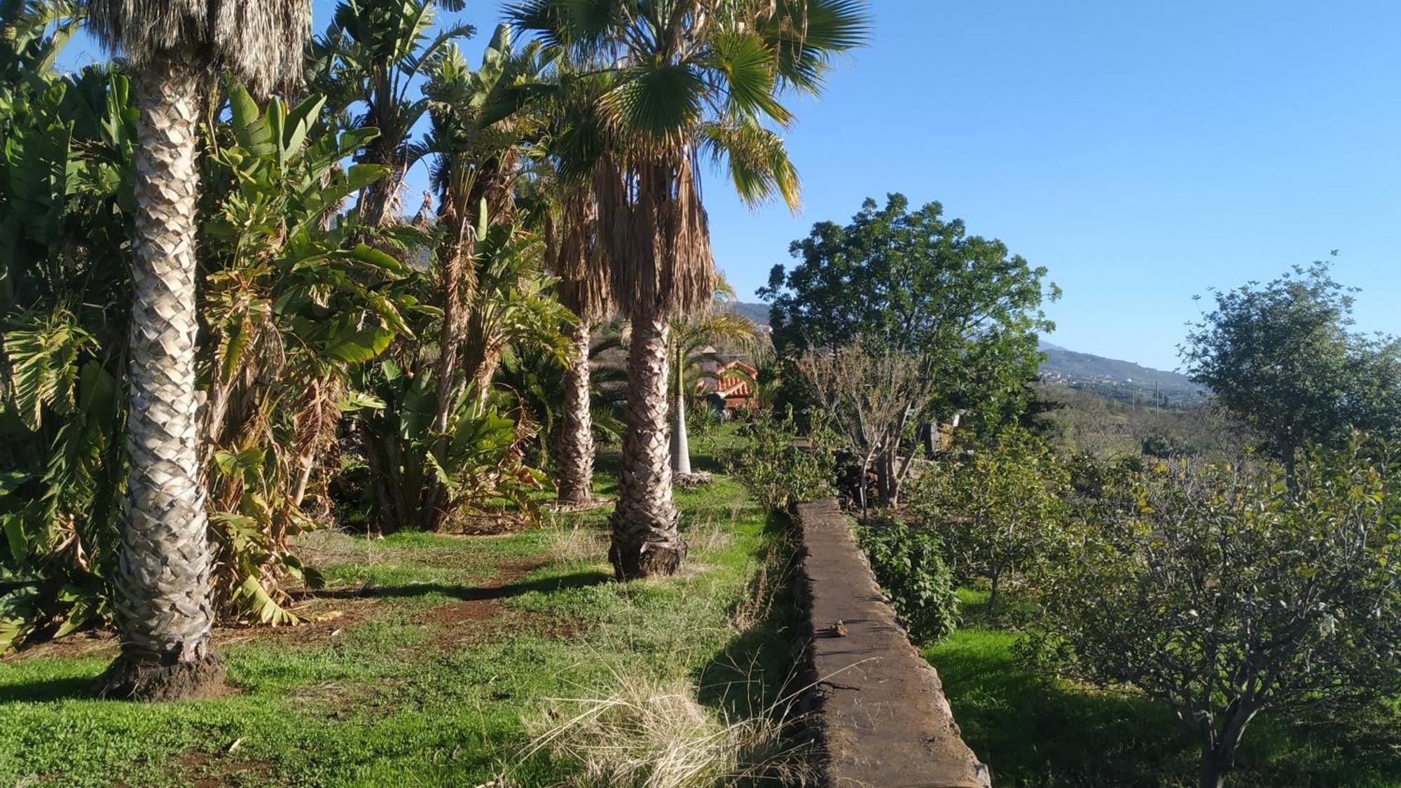 Finca Panorama Tijarafe Kültér fotó