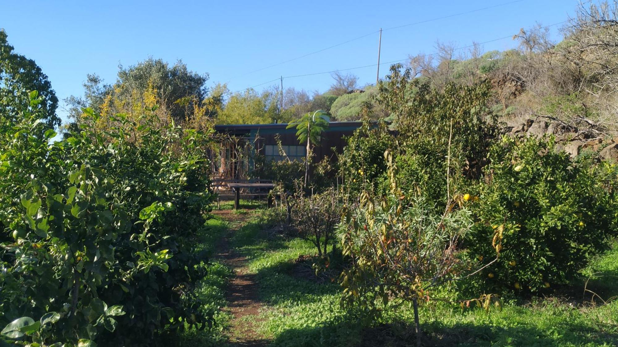 Finca Panorama Tijarafe Kültér fotó
